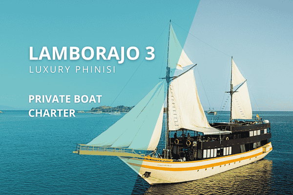 Luxury Phinisi Lamborajo 3