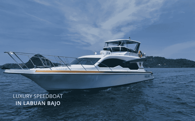Luxury Speedboat Labuan Bajo