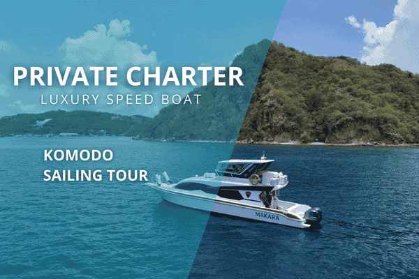 Private Luxury Speedboat Charter Labuan bajo