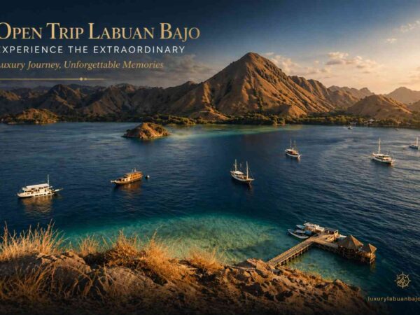 Open Trip labuan bajo